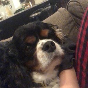 Meet your Posher, Faith